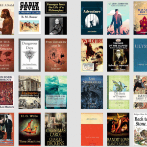 Collection of 1000 Timeless and Famous Novels in Digital Format – Includes PLR and 100% Copyright-Free Content